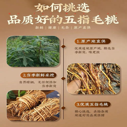 L杨栈记野生无指毛桃250g/袋 商品图3