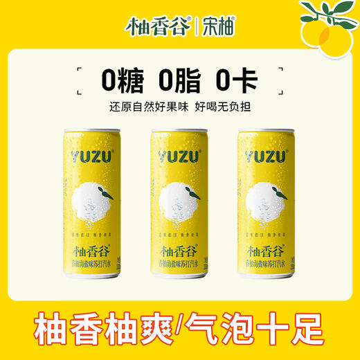 【专属】柚香谷香柚海盐味苏打汽水330ml*24罐0糖0卡0脂清雅柚香天然清甜酷爽 商品图1