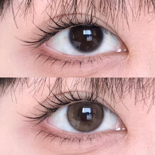 bariecat日抛 小金豆/小奶豆 14.2mm 棕/灰 有同款年抛 日抛无售后！！ 商品图1