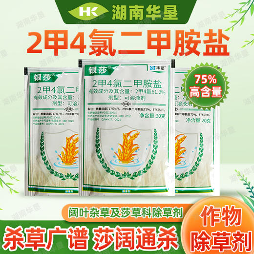 2甲4氯二甲胺盐二甲四氯小麦节节草水花生阔叶专用根烂除草剂农用 商品图0