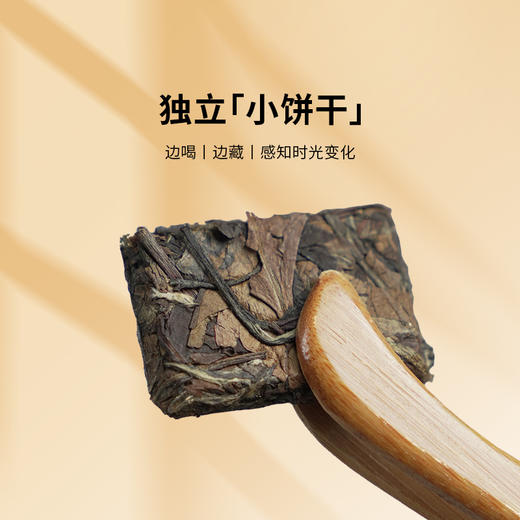 【秋季茶饮】其白温韵丨十年老白茶/寿眉  自营 商品图2