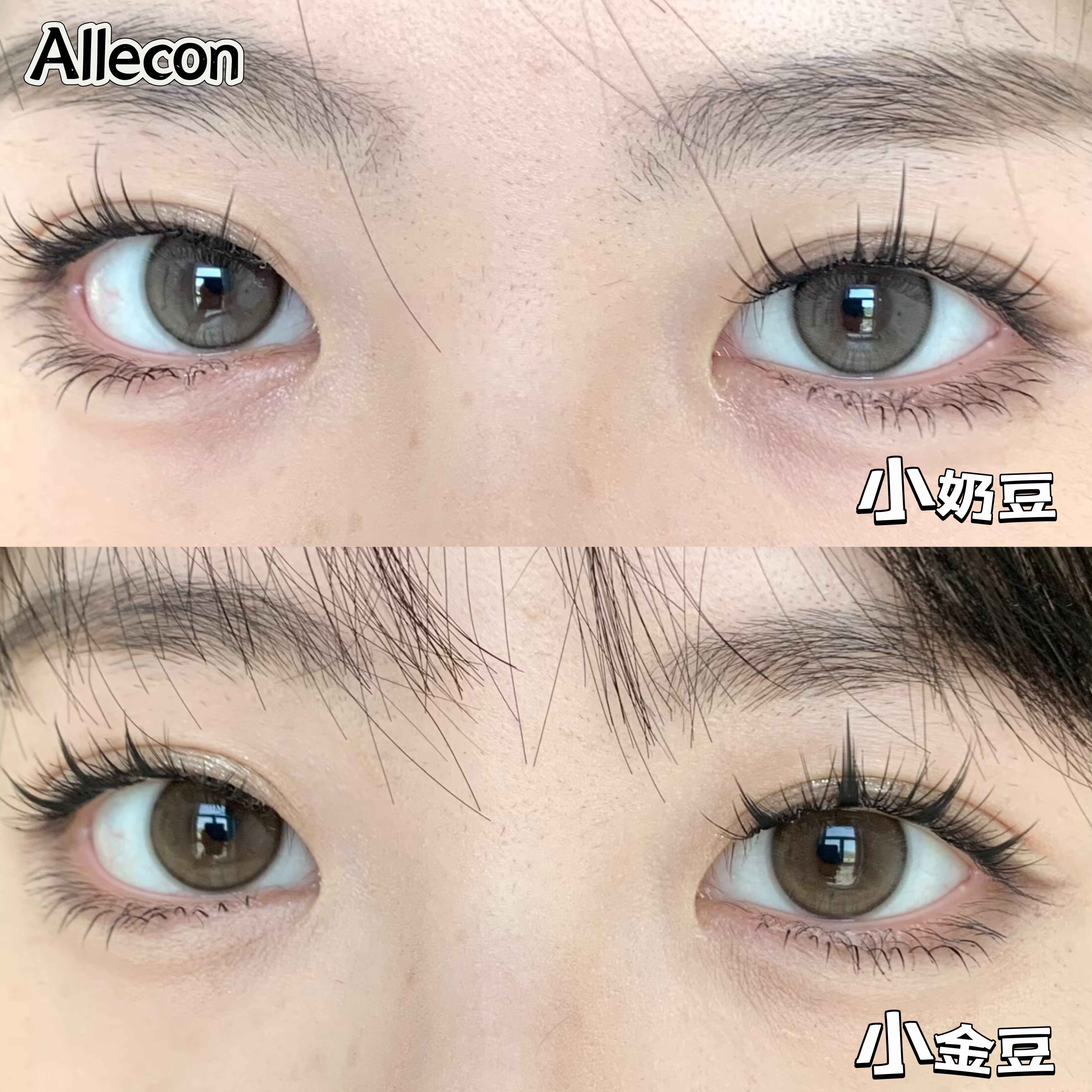 bariecat日抛 小金豆/小奶豆 14.2mm 棕/灰 有同款年抛 日抛无售后！！