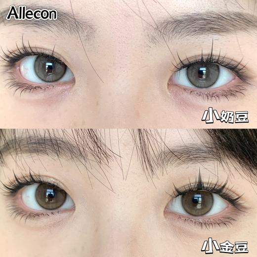 bariecat日抛 小金豆/小奶豆 14.2mm 棕/灰 有同款年抛 日抛无售后！！ 商品图0