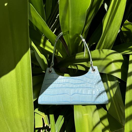 【6971899780752】【玫瑰刘亦菲同款】品牌直发 APEDE MOD 夏日时尚鳄鱼纹牛皮青蛙腋下包 商品图3