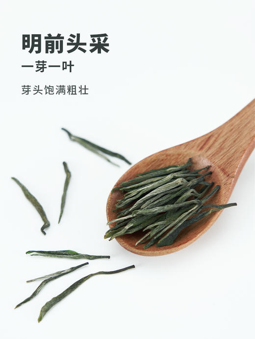 明前特级浮瑶仙芝绿茶茶叶罐装60g 江西浮梁春茶 商品图2