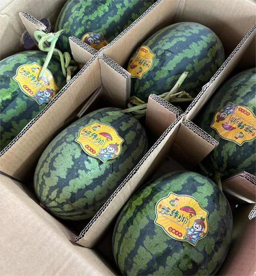 云南甘美4K西瓜 约6斤/个  |水果 商品图2