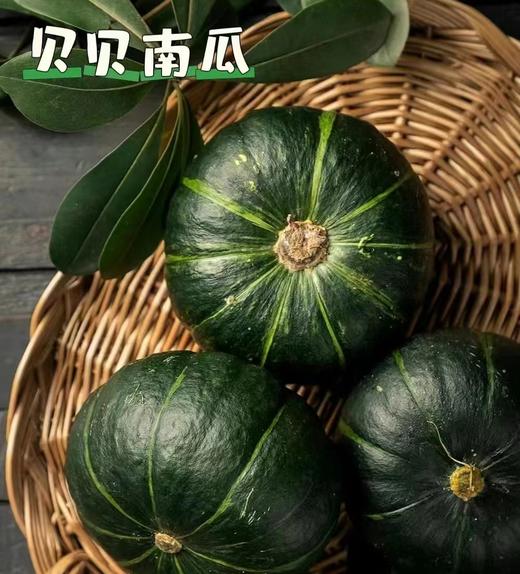 老挝贝贝南瓜 （约3斤/箱）  |蔬果 商品图0