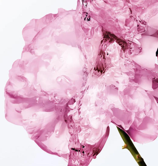 迪奥 克丽丝汀迪奥迪奥小姐玫瑰香氛身体乳175ml C099700711-F 商品图1