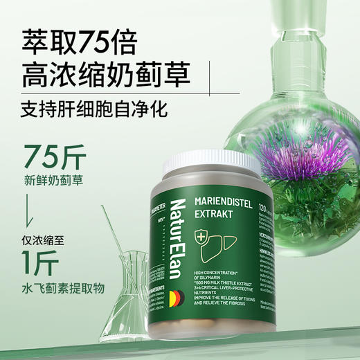 【活动3】奶蓟草胶囊 120粒 | 德国进口NaturElan呐兔 75倍高浓缩奶蓟草 熬夜·酒局·不爆肝 商品图2