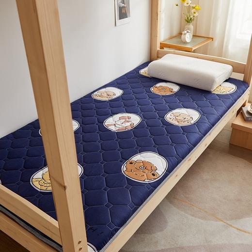 【遇见起居新姿态 瞬间治愈一天疲惫】一款不一样的床垫 加厚约四公分床垫 学生宿舍折叠床垫 软垫床褥子单人双人床垫-QQ 商品图8