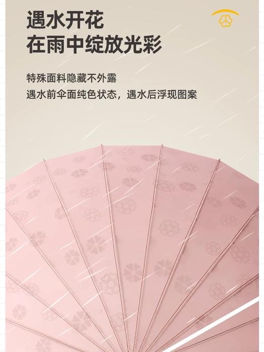 雨伞遇水开花高颜值创意感加大抗风暴长柄直杆男女雨伞 商品图1