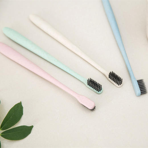 【鼎】小麦秸秆竹炭牙刷10只装 商品图2