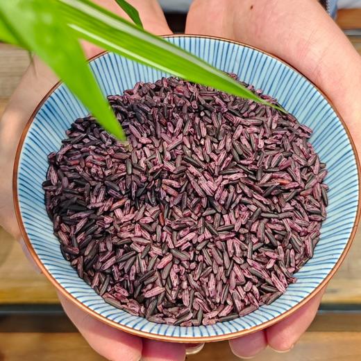 【2025新米上市】中国地理标识产品，云南墨江留胚紫米 ，哈尼梯田新米，源自中国紫米之乡，富含花青素，美容养颜 商品图3
