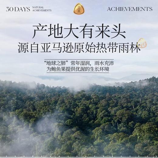 【1件包邮】觅菓AA+大鲍鱼果仁299g/152813 亚马逊雨林富硒鲍鱼果 甘肃/青海/内蒙古/新疆/西藏/宁夏/海南/港澳台不发货 商品图4