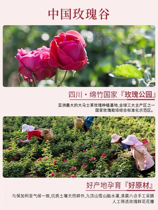玫瑰纯露 「单瓶」300ml 草本护肤 商品图1
