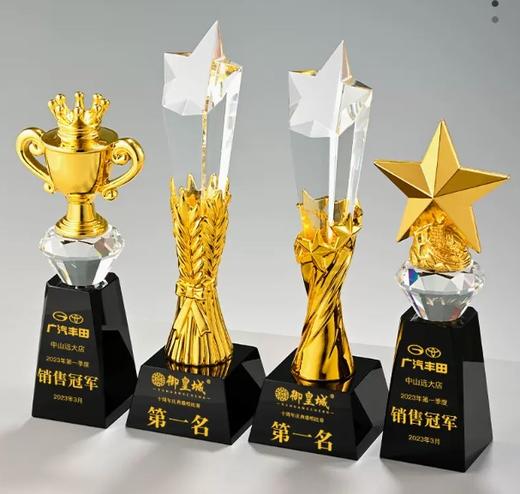 创意树脂奖杯定制定做优秀员工团队高档大气荣誉水晶奖杯颁奖订制 商品图0