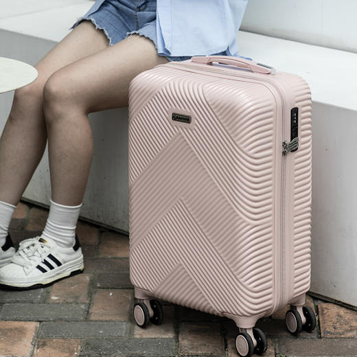 Diplomat外交官商务万向轮拉杆箱旅行箱TSA密码箱行李箱DS-130 磨砂粉色- 拉链 28英寸 商品图1
