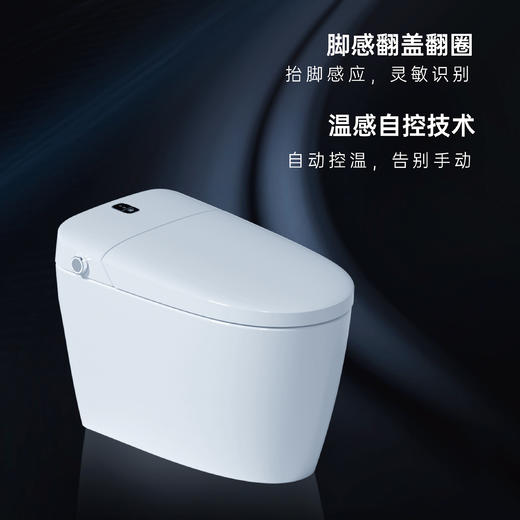 瑞尔特-智能马桶一体机【包邮包安装】 商品图0