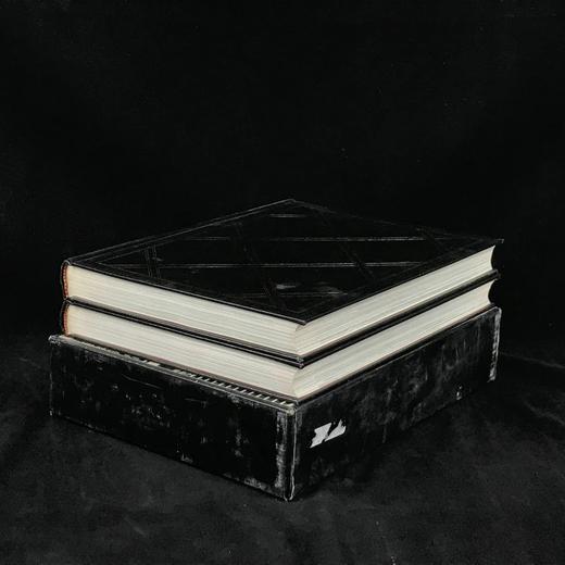 美国建筑图史（全2卷） 约千幅插图 精装大16开带书匣 商品图1