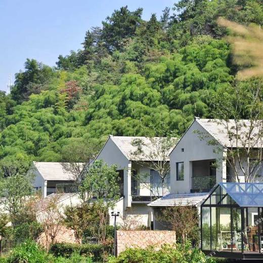 安吉 安柏观云度假酒店 商品图0