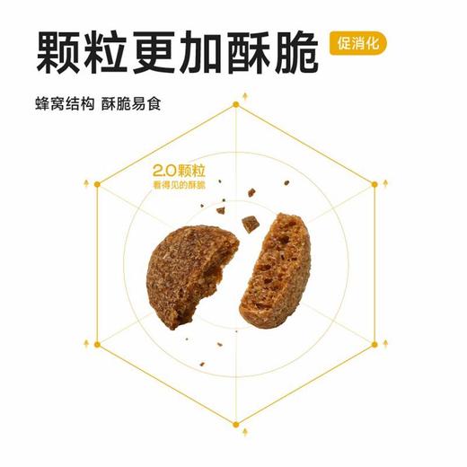 纯福狗粮 小型犬粮 鸡肉口味（48小时内发货，着急勿拍） 商品图3