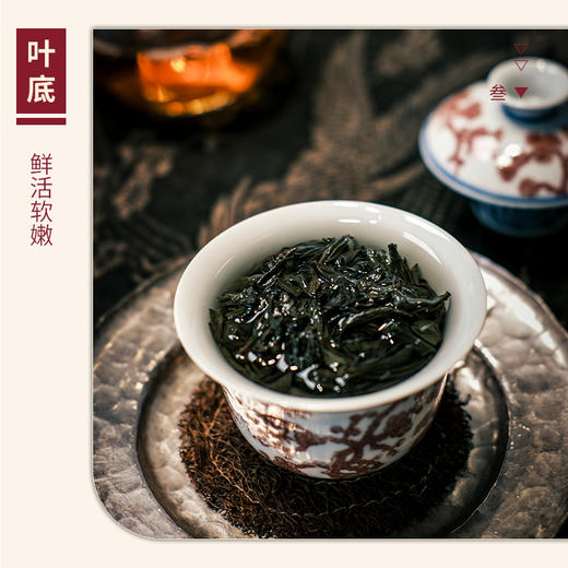 【山纯限品】（2024年）024百花岩·老树肉桂17g 商品图4