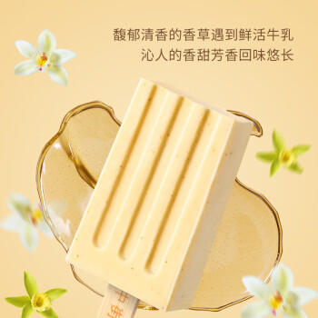 中街1946香草冰酪轻享装50g*10支 棒支雪糕儿童冰淇淋 香草口味 商品图4
