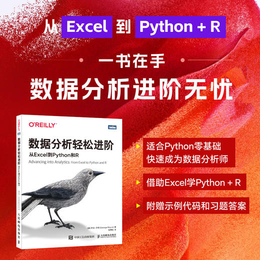 数据分析轻松进阶：从Excel到Python和R 商品图0