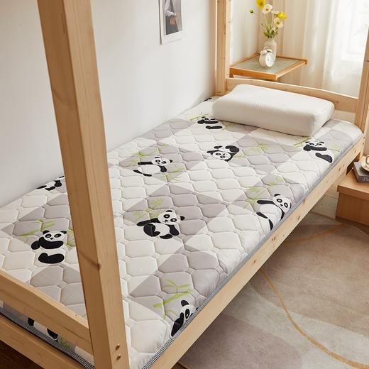 【遇见起居新姿态 瞬间治愈一天疲惫】一款不一样的床垫 加厚约四公分床垫 学生宿舍折叠床垫 软垫床褥子单人双人床垫-QQ 商品图10
