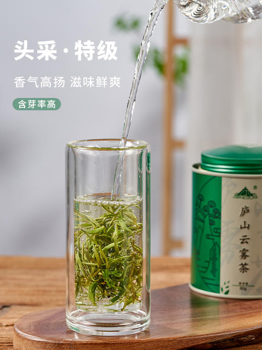 明前特级庐山云雾茶叶 高山浓香型绿茶罐装60g 商品图0