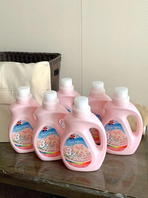 新包装英国南堡·朵衣除螨香水洗衣液 商品图7