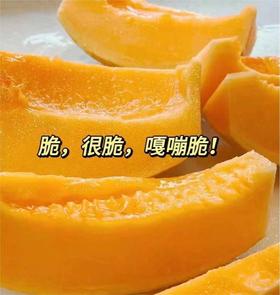 新疆黄金哈蜜瓜 约2.6斤/个  | 水果