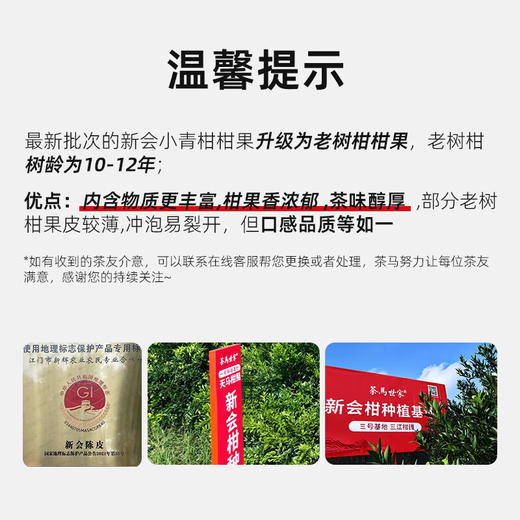 正宗新会小青柑十年陈宫廷普洱熟茶天马生晒陈皮柑普茶500g礼盒装 CM 商品图7