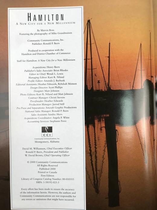 汉密尔顿：新千年的新城市 数百幅彩色插图 精装8开 商品图4