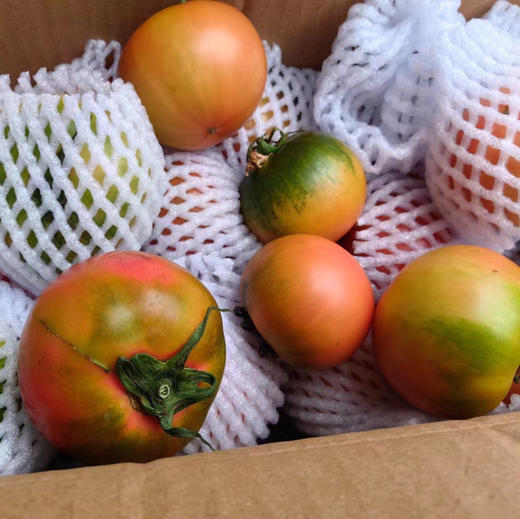 张北的碱地水果西红柿，品种甜脆脆，甜度9个糖以上，口感非常棒，张北现在昼夜温差大，西红柿味非常浓郁，秒杀目前所有的口感番茄！4斤/箱 商品图1