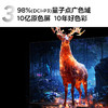 TCL电视 98Q9K 商品缩略图1