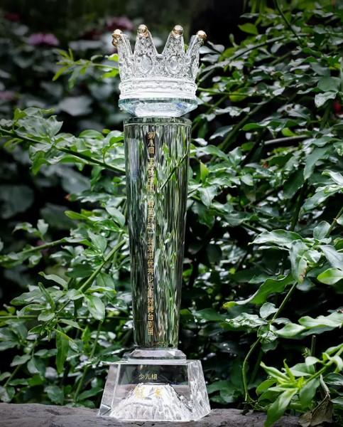水晶奖杯定制创意奖杯定做制作免费刻字运动会比赛颁奖荣誉纪念品 商品图0