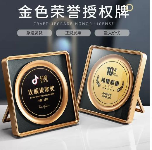 创意金属奖牌定制高档荣誉牌匾定做医美商会纪念奖盘加盟店授权牌 商品图0