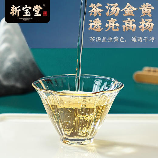 岭南新宝堂陈皮新会陈皮特产泡茶福泓瓶礼盒250克送礼 十年/十五年陈皮福泓瓶 商品图4