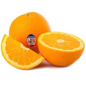 新奇士橙 约500g/份