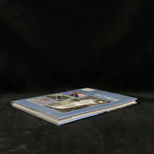 汉密尔顿：新千年的新城市 数百幅彩色插图 精装8开 商品图2