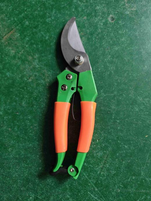 【货号02745】库存处理手动剪刀树枝剪刀园林剪刀 商品图1