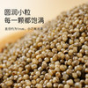 【静宁】黑小米 400g*3袋 绿色种植 营养丰富 商品缩略图1