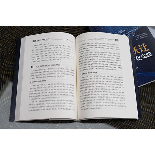 价值跃迁 数据资产化实践 尚进主编 田强 胡杨 夏珺峥副主编 法律出版社 商品图1