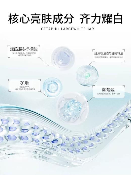 【品牌特价】丝塔芙大白罐保湿面霜身体乳550g 商品图2