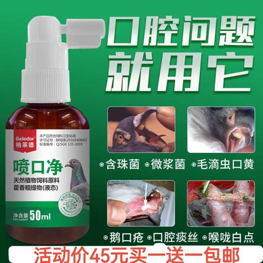 【喷口净】买一送一，50毫升鸽子毛滴虫口腔喷雾喷剂念珠菌呼吸道用鸽药（格莱德鸽药） 商品图0