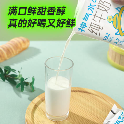 神气水牛袋装奶 160ml*10袋*1箱 商品图5