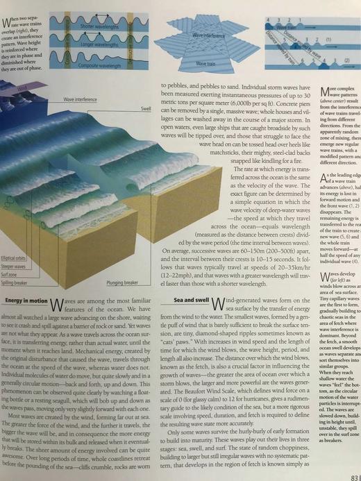 海洋图解参考 数百幅彩色插图 精装大16开 商品图9