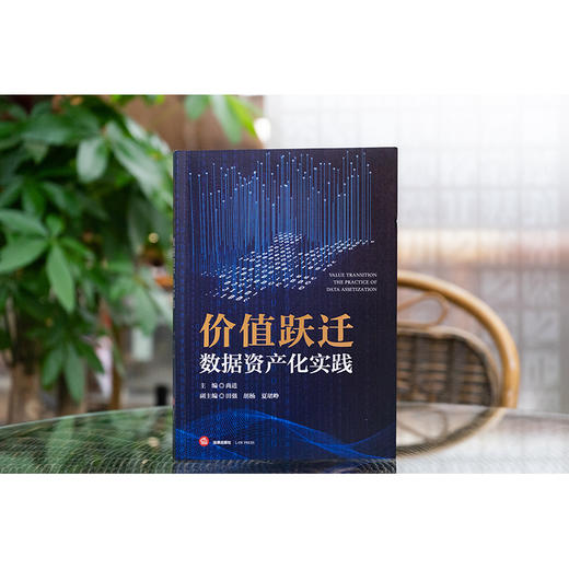 价值跃迁 数据资产化实践 尚进主编 田强 胡杨 夏珺峥副主编 法律出版社 商品图2