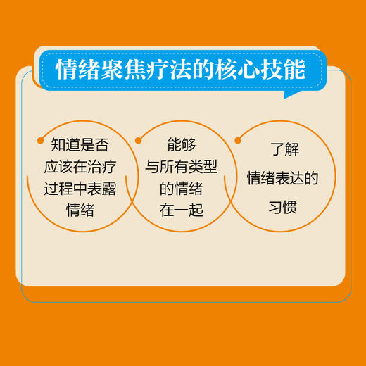 情绪转化情绪 跨诊断的情绪聚焦疗法指南 情绪聚焦疗法心理咨询书籍情绪痛苦心理咨询师书籍 商品图2